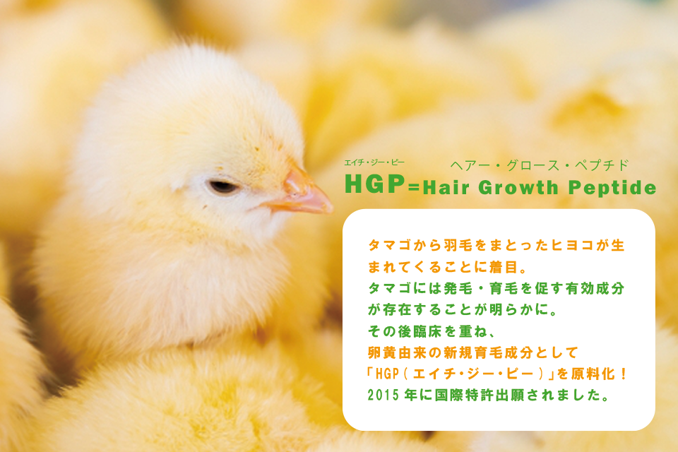 HGP=Hair Growth Peptide